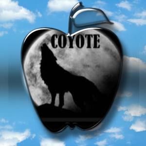 Meet your Posher, Mario